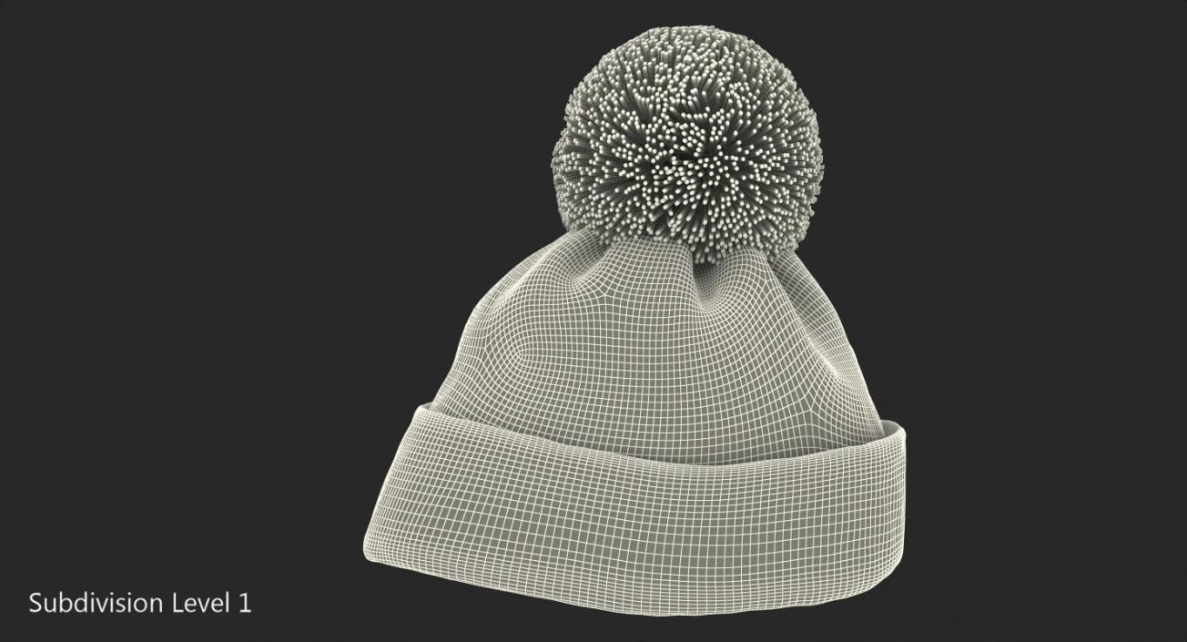 3D model Christmas Winter Hat