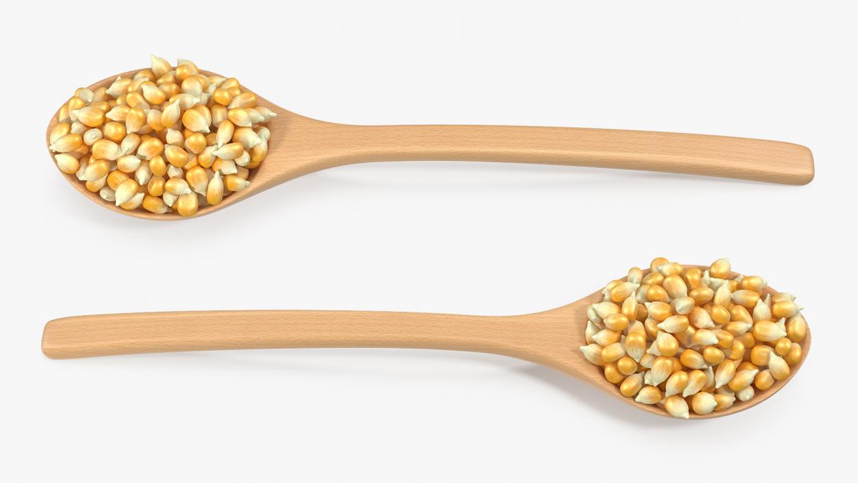 Wooden Spoons with Seeds Collection 2 3D