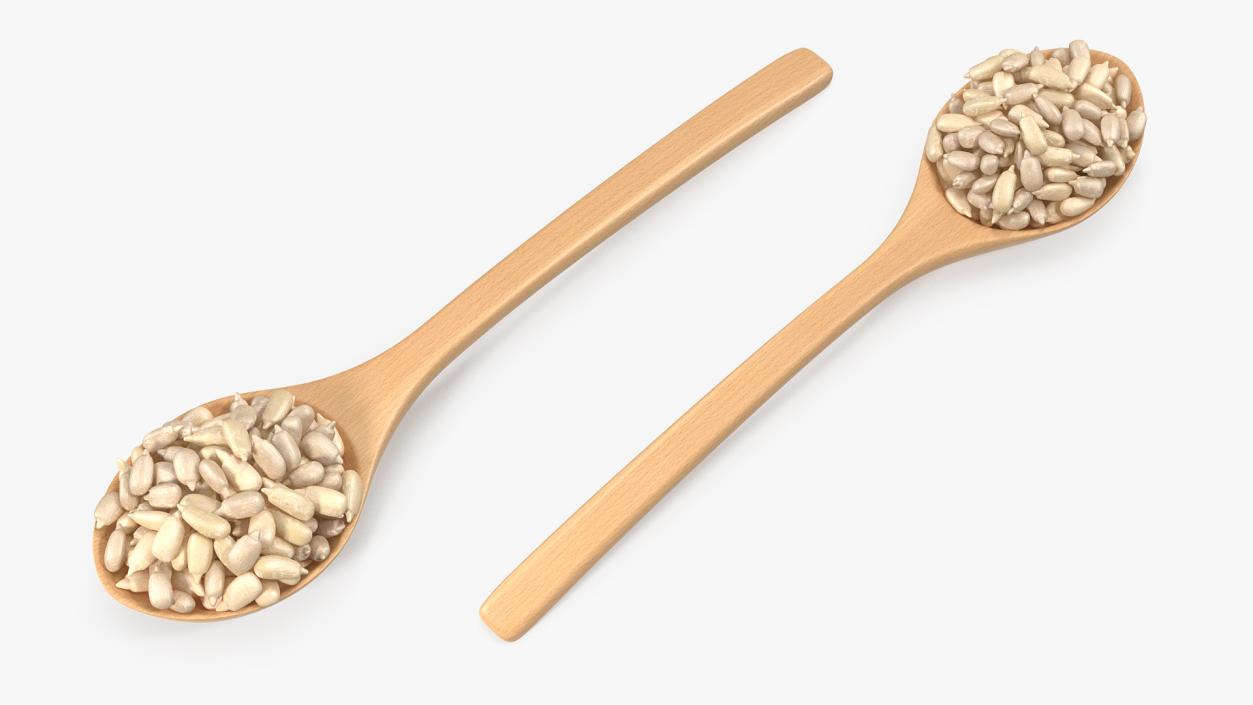 Wooden Spoons with Seeds Collection 2 3D