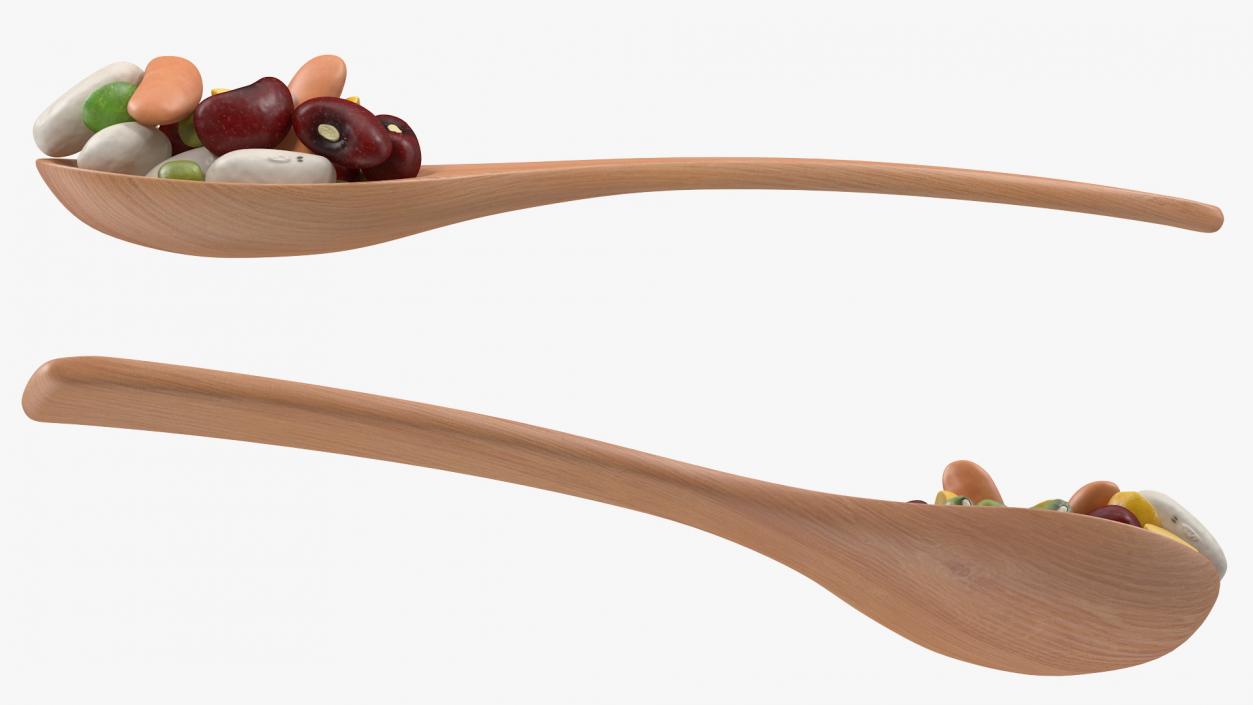 Wooden Spoons with Seeds Collection 2 3D