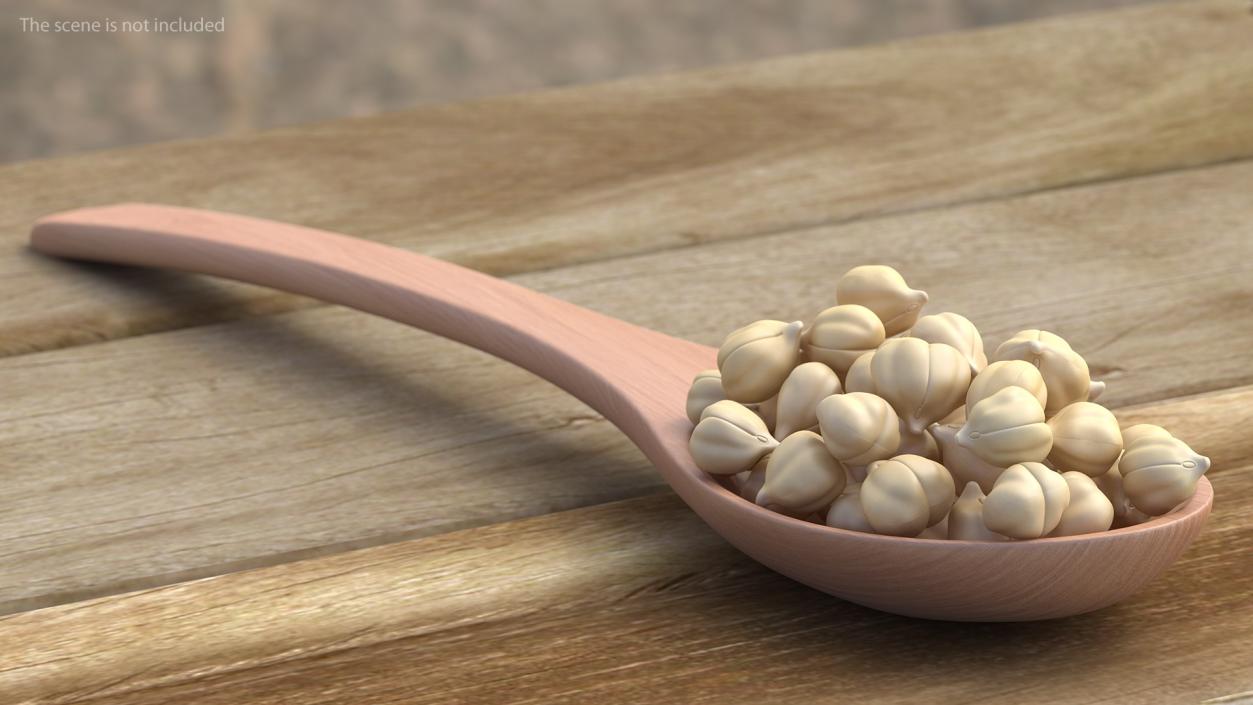 Wooden Spoons with Seeds Collection 2 3D