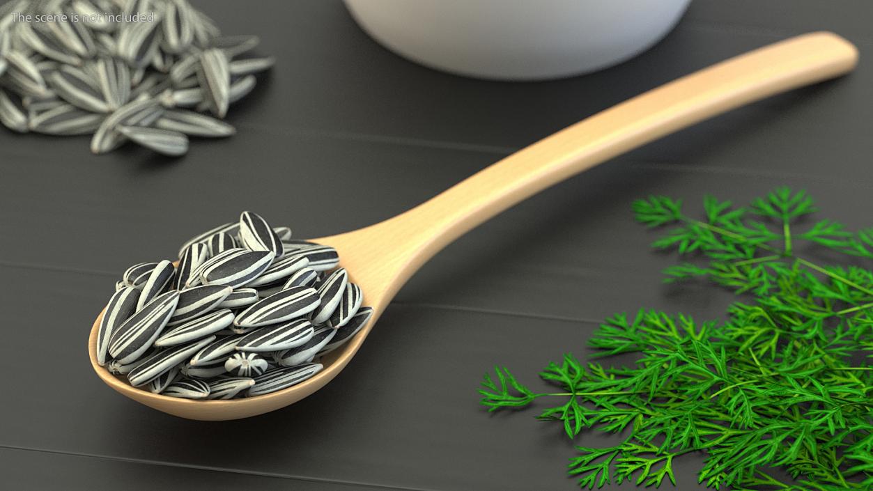 Wooden Spoons with Seeds Collection 2 3D