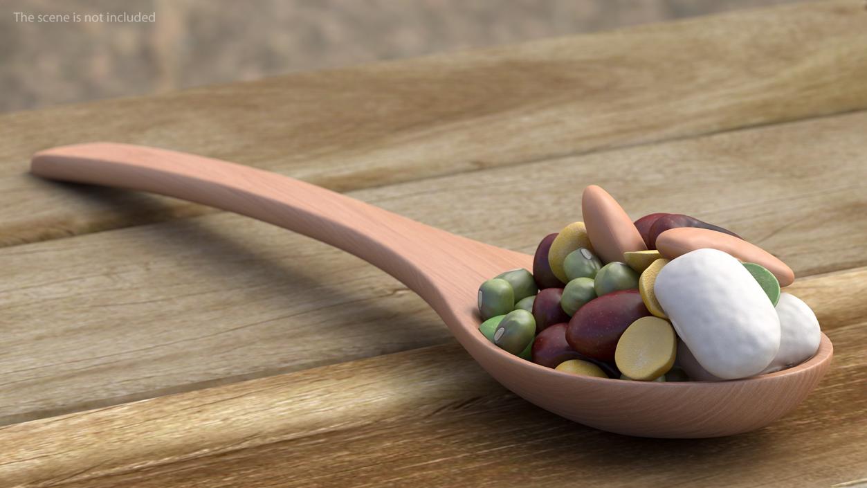 Wooden Spoons with Seeds Collection 2 3D