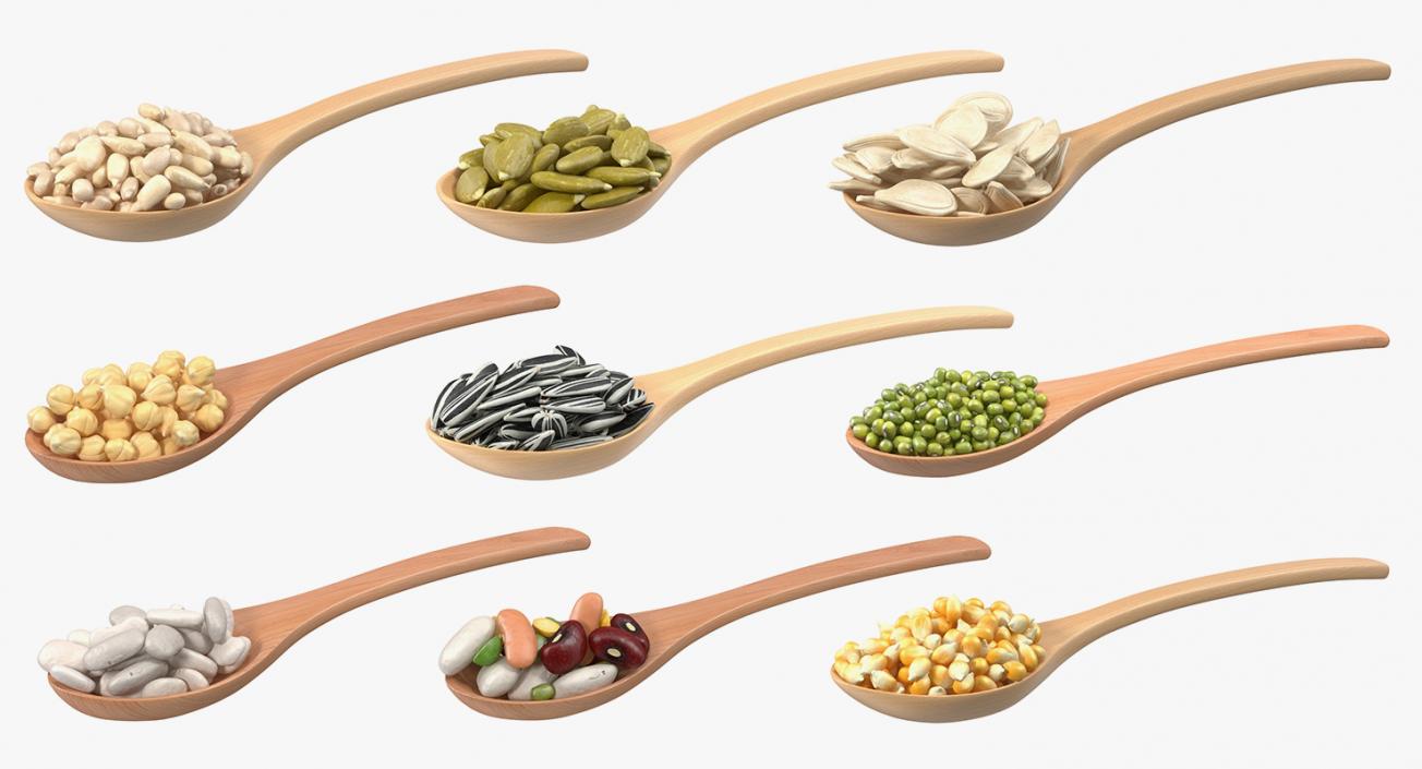 Wooden Spoons with Seeds Collection 2 3D