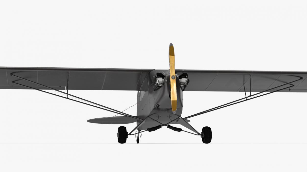 3D Piper Cub Aircraft model