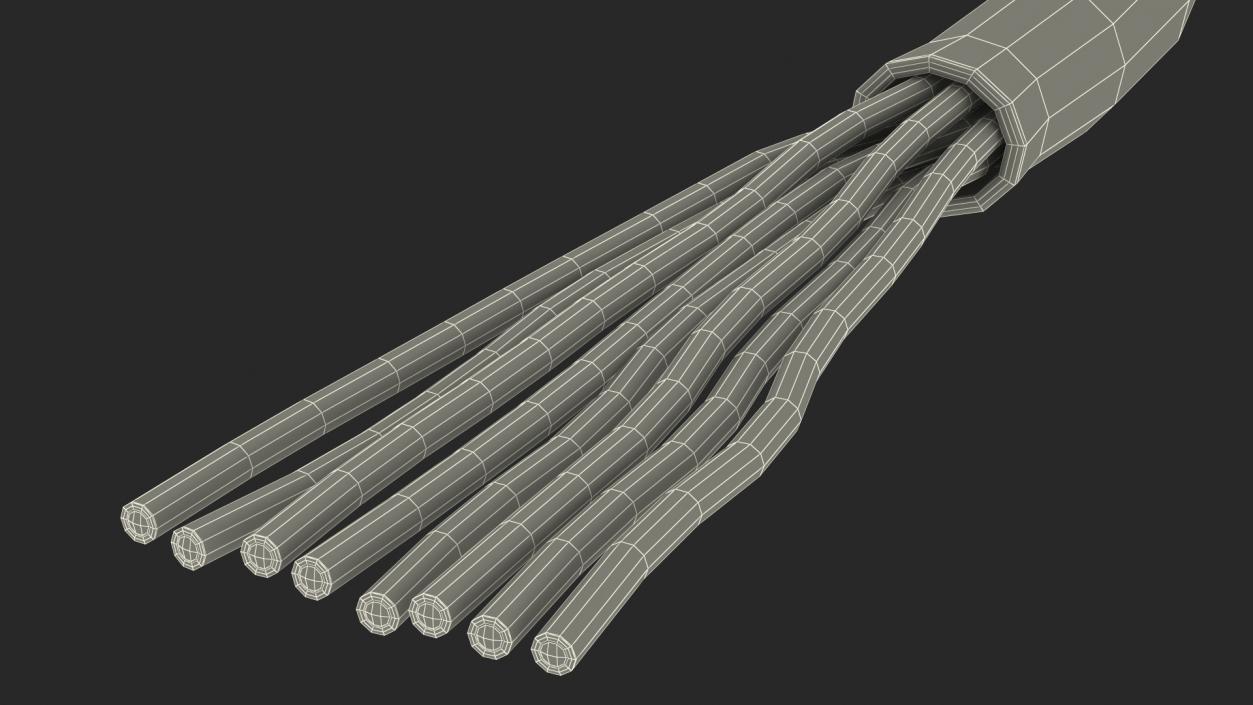 RJ45 Cable Cut 3D model