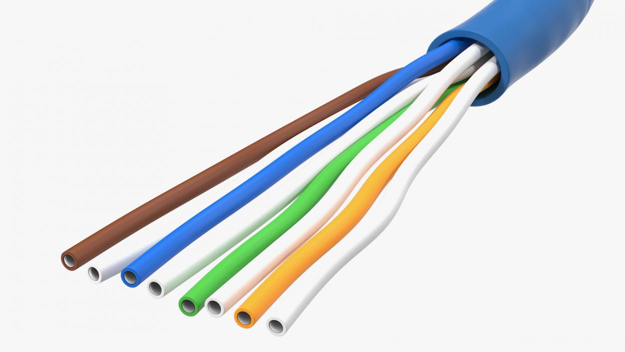 RJ45 Cable Cut 3D model