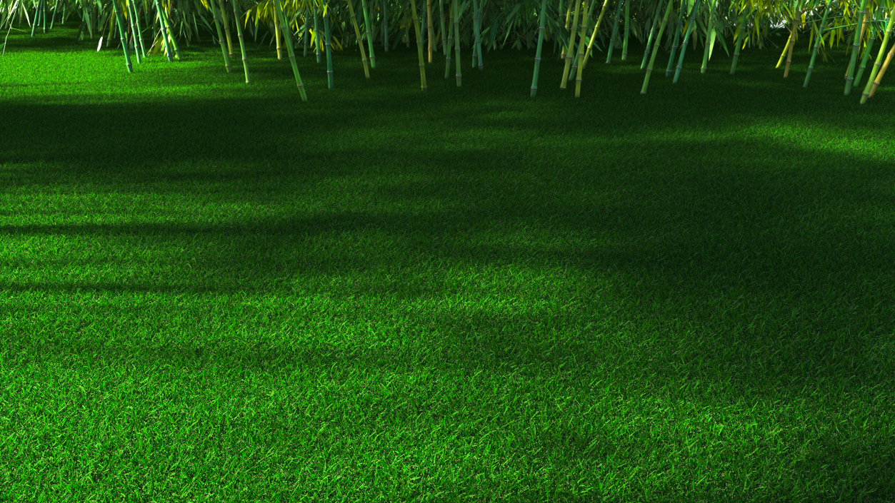 3D Seashore Paspalum Grass model