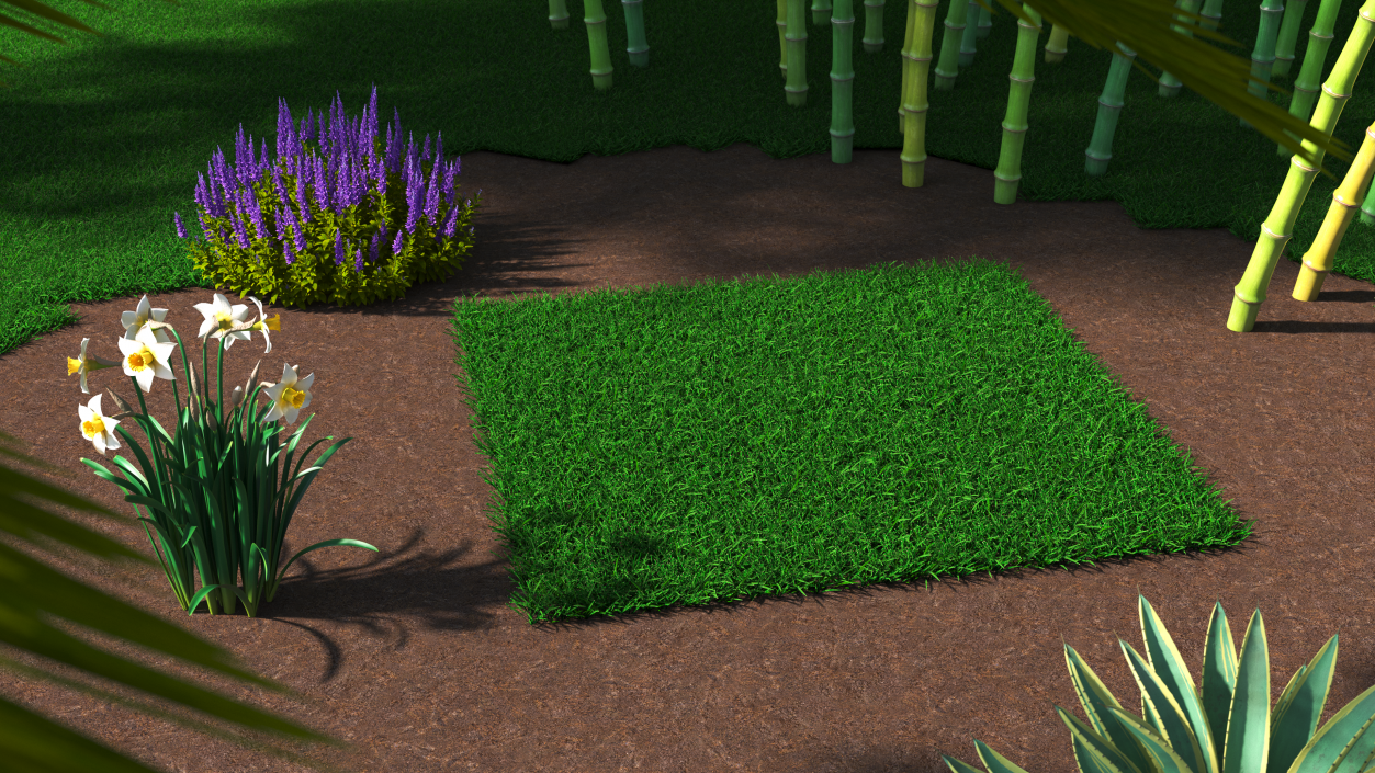 3D Seashore Paspalum Grass model