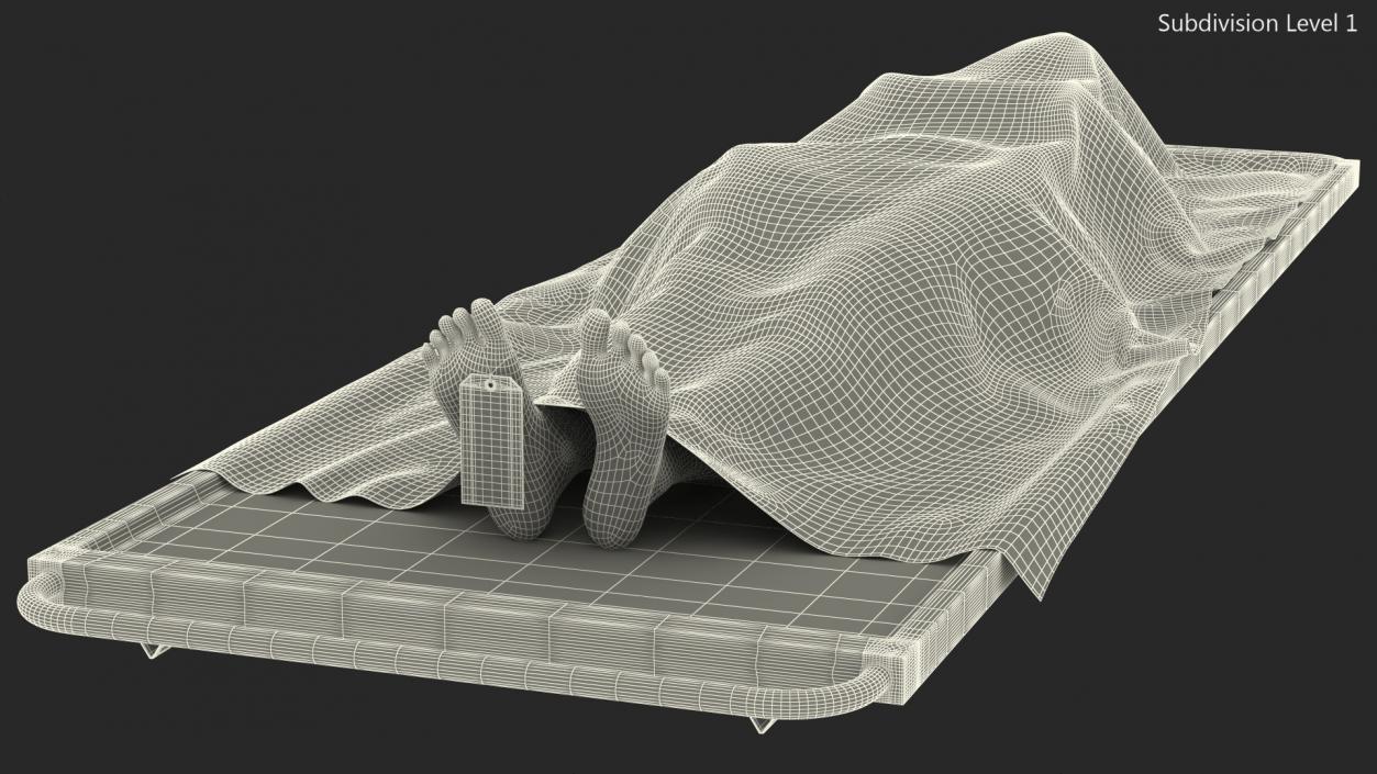 3D model Female Dead Body Covered with Cloth