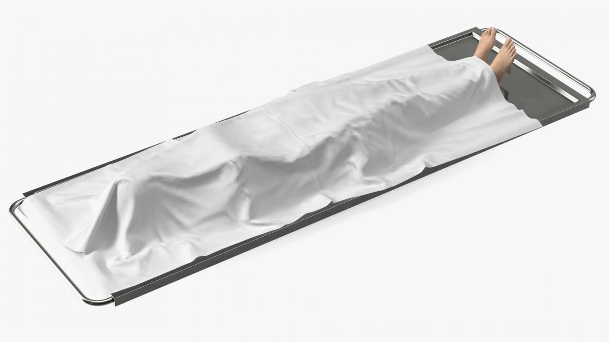 3D model Female Dead Body Covered with Cloth