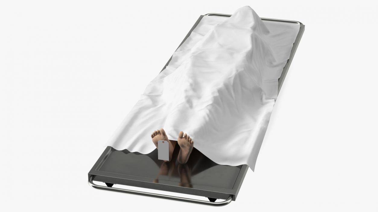 3D model Female Dead Body Covered with Cloth