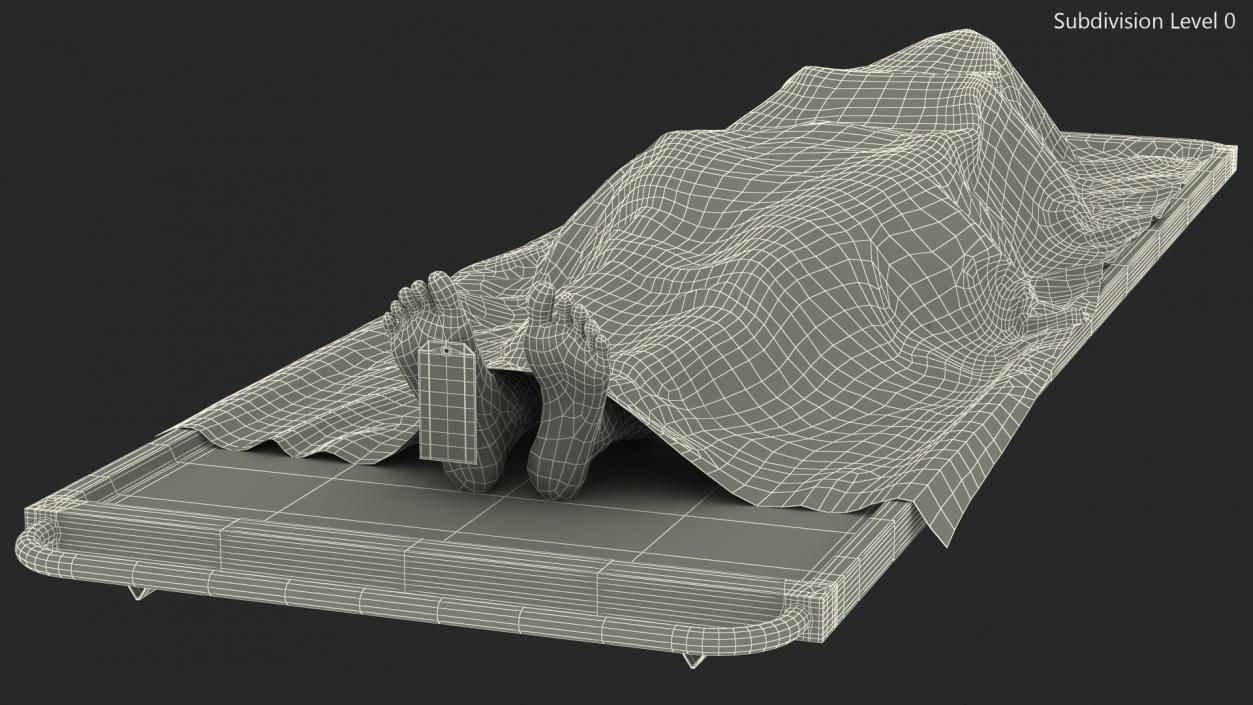 3D model Female Dead Body Covered with Cloth