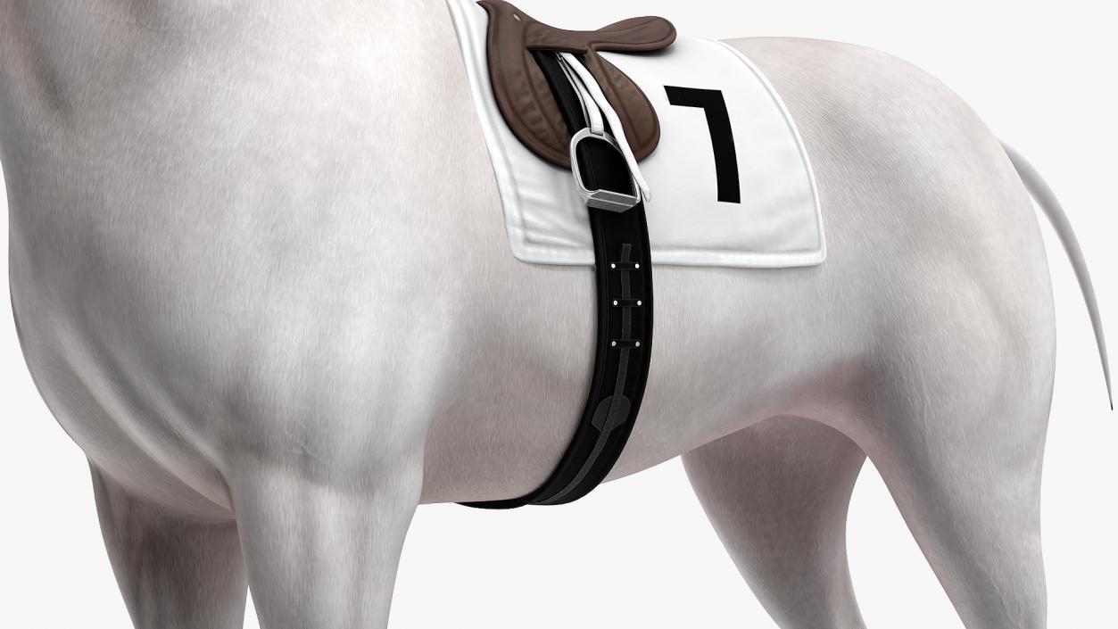 3D model White Racehorse