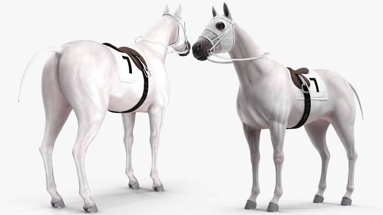 3D model White Racehorse