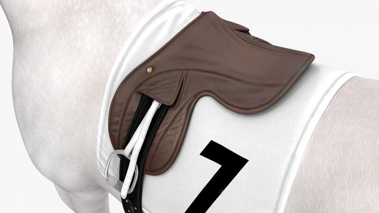 3D model White Racehorse