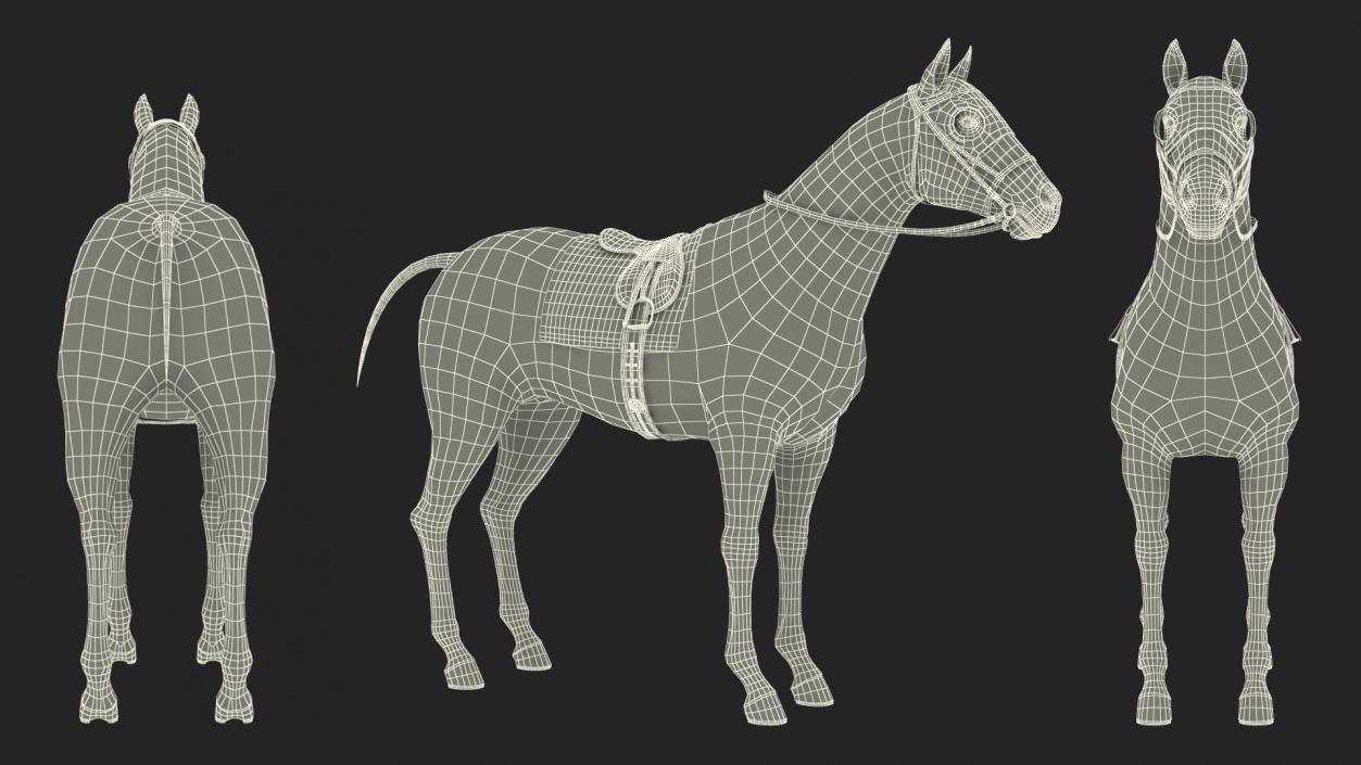 3D model White Racehorse