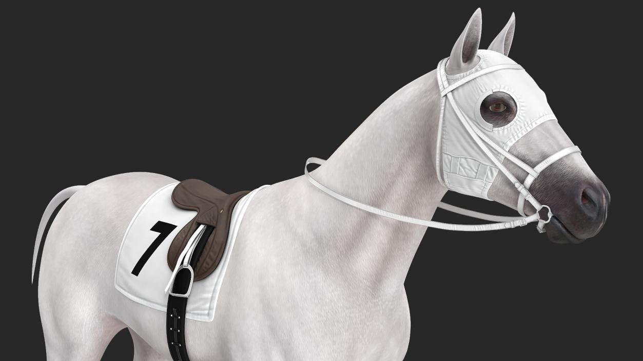 3D model White Racehorse