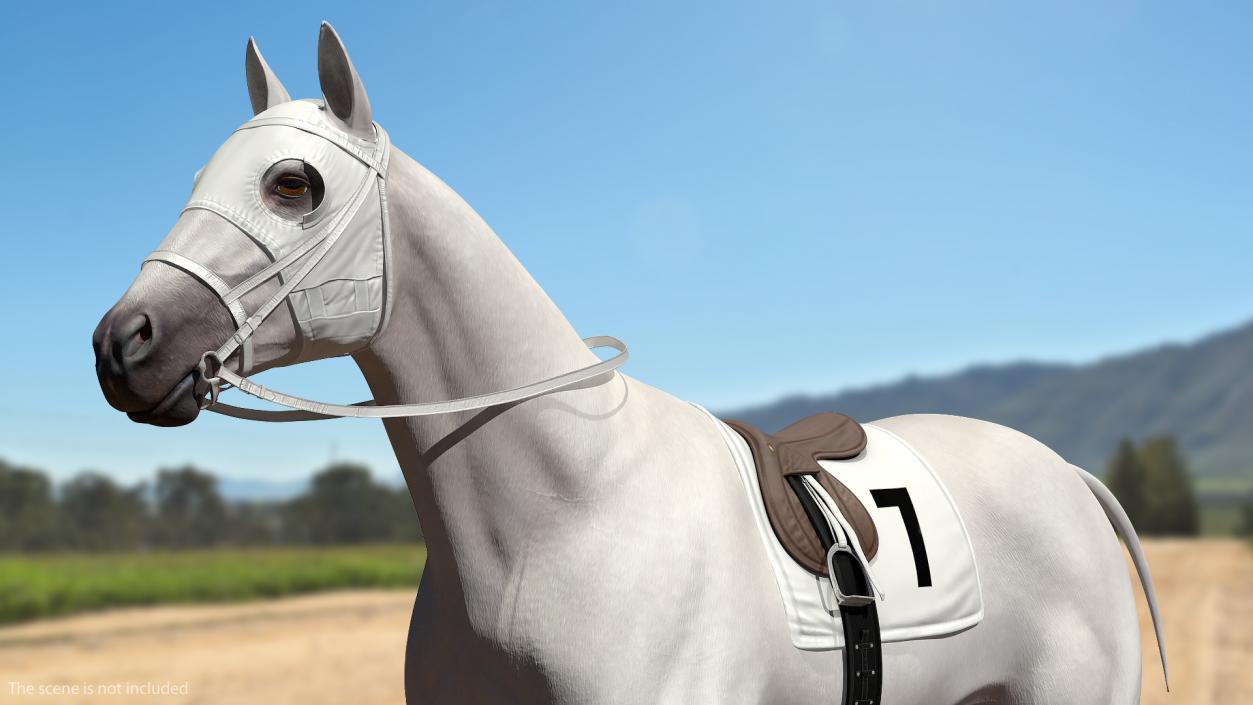 3D model White Racehorse