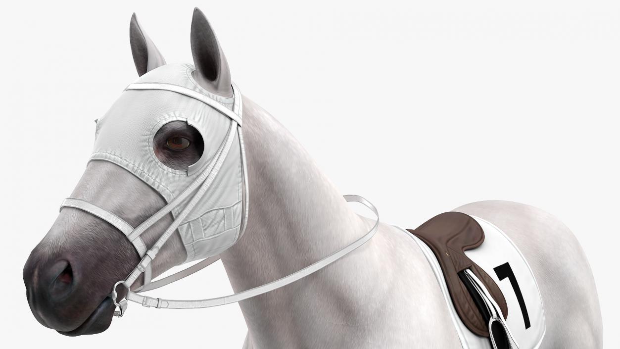 3D model White Racehorse