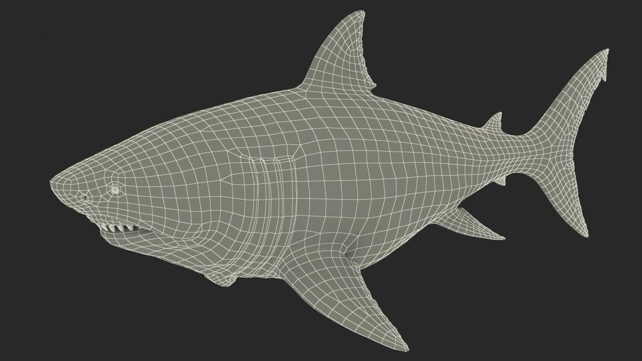 Megalodon 3D model