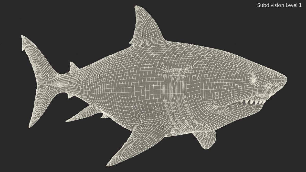 Megalodon 3D model