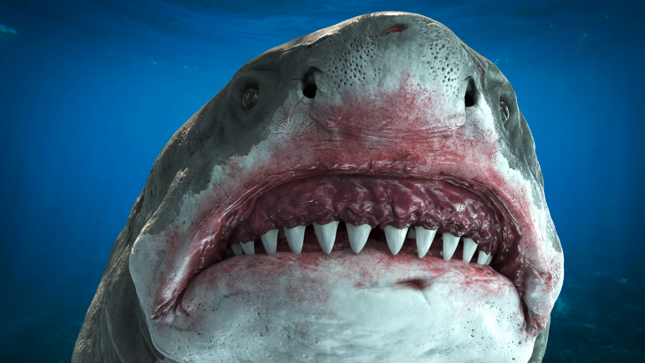 Megalodon 3D model