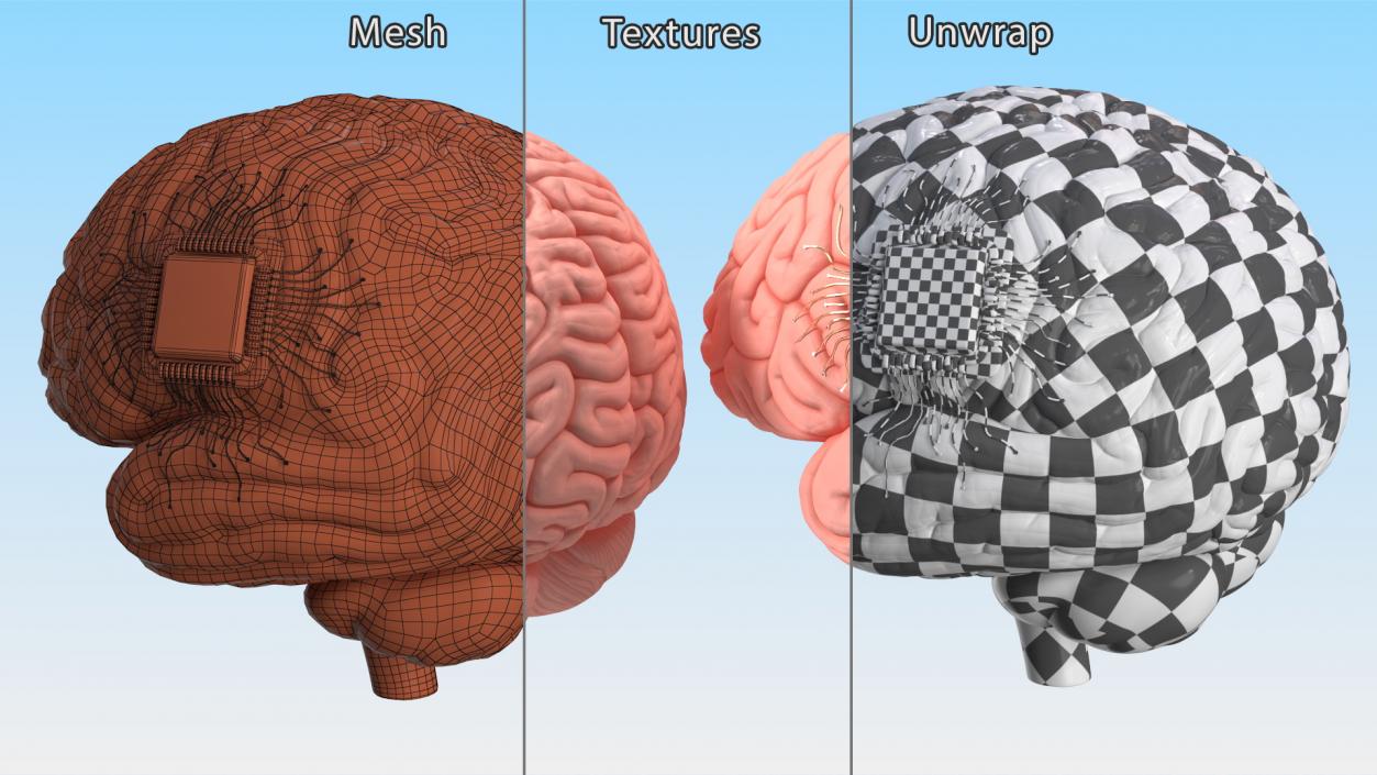 3D Human Brain With Implanted Microchip 2 model