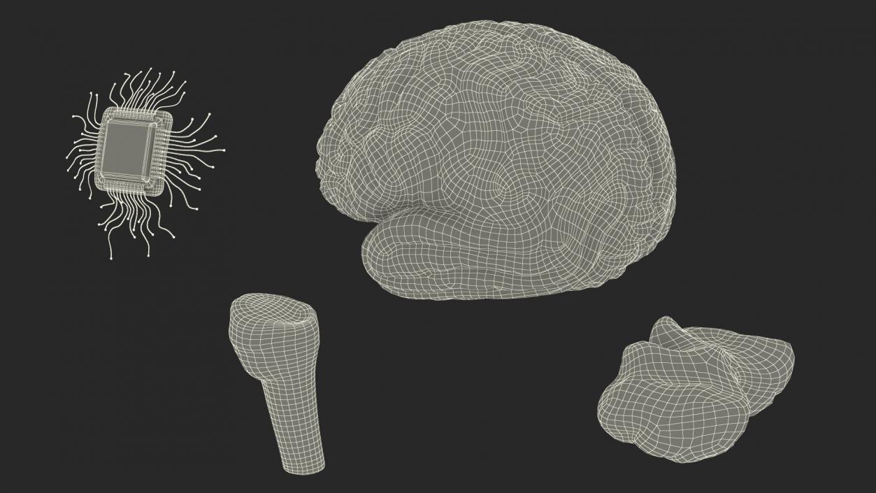 3D Human Brain With Implanted Microchip 2 model