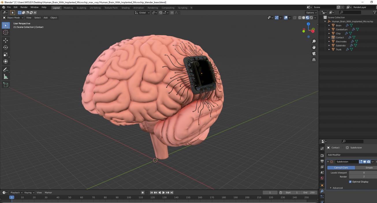 3D Human Brain With Implanted Microchip 2 model