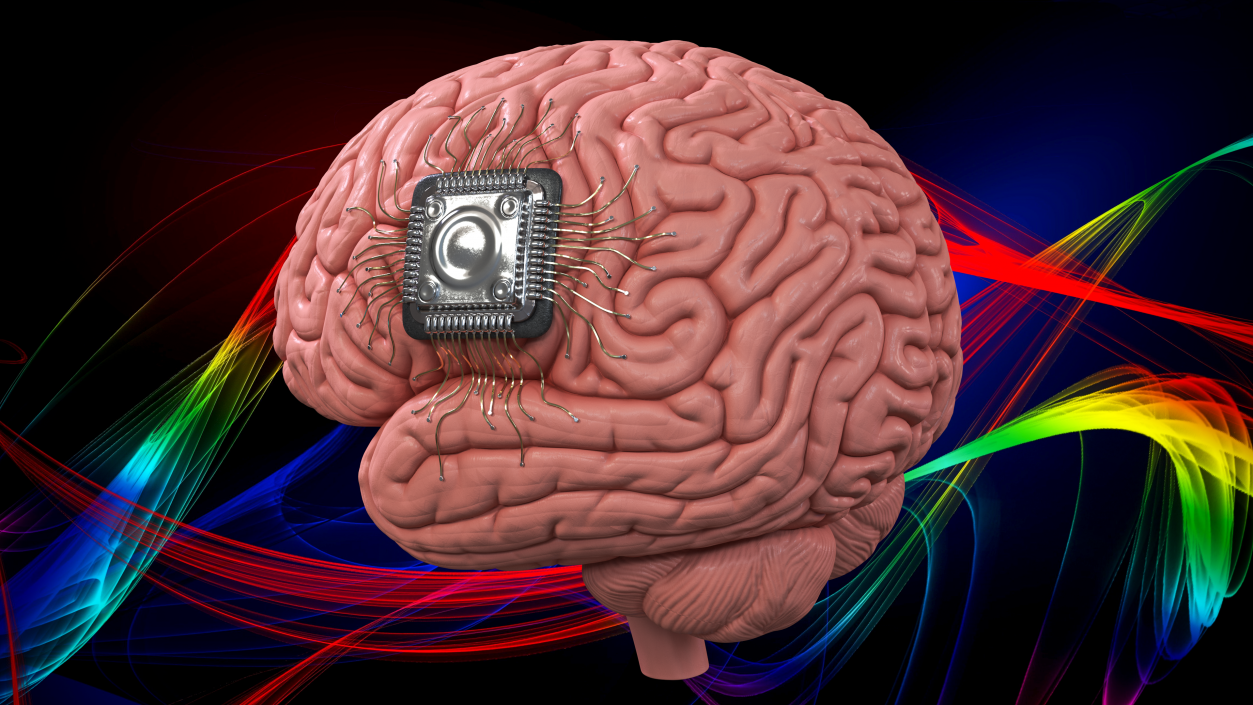 3D Human Brain With Implanted Microchip 2 model