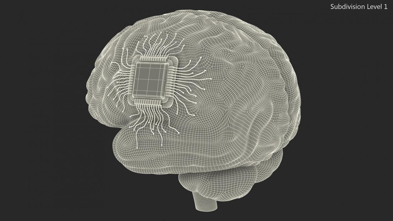 3D Human Brain With Implanted Microchip 2 model