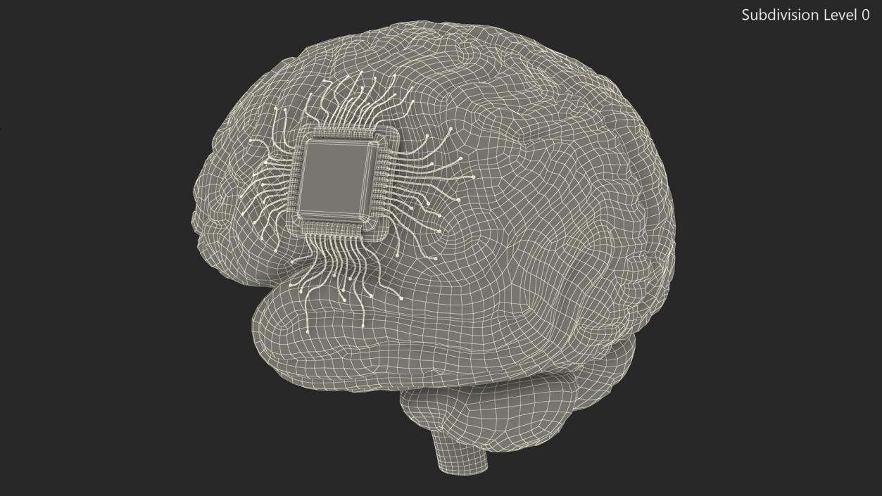 3D Human Brain With Implanted Microchip 2 model