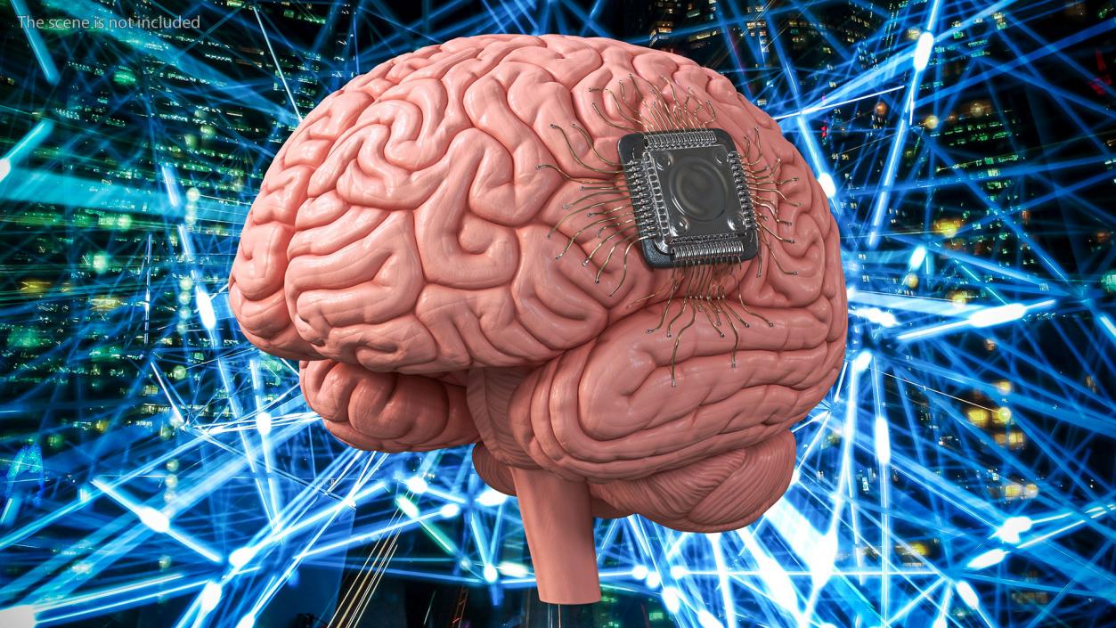 3D Human Brain With Implanted Microchip 2 model