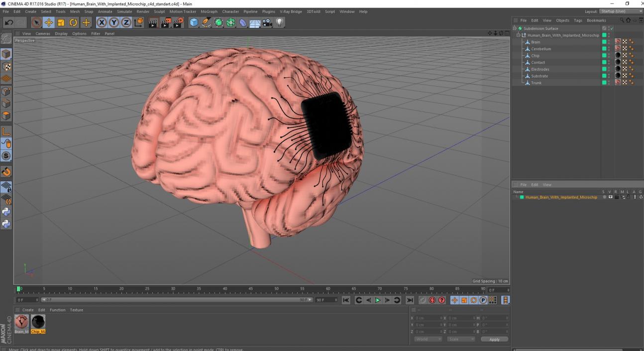 3D Human Brain With Implanted Microchip 2 model