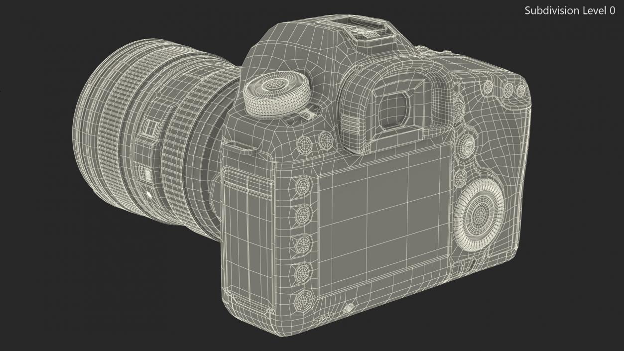 3D Digital SLR Camera model