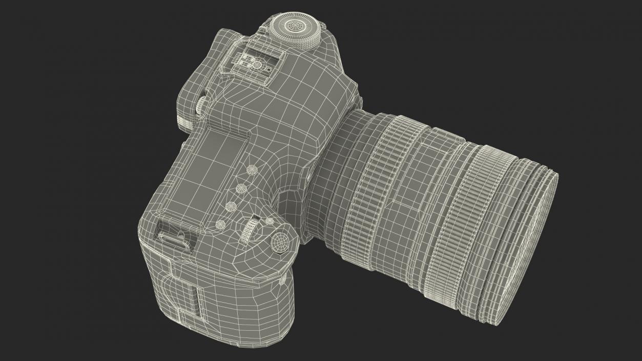 3D Digital SLR Camera model