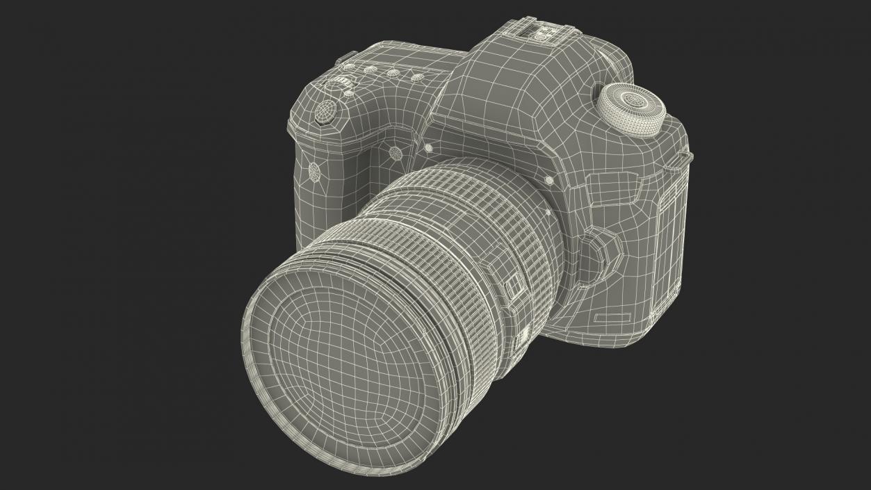 3D Digital SLR Camera model