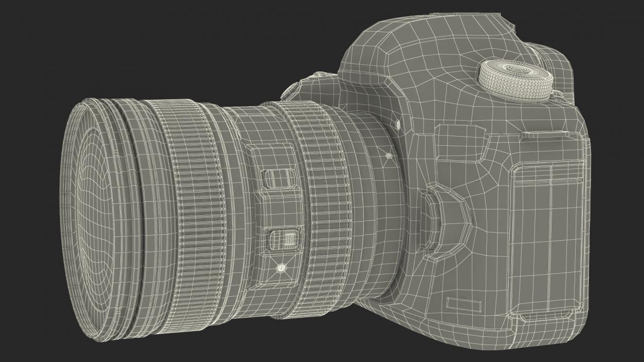 3D Digital SLR Camera model