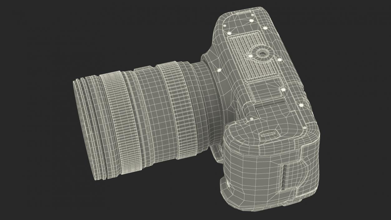 3D Digital SLR Camera model