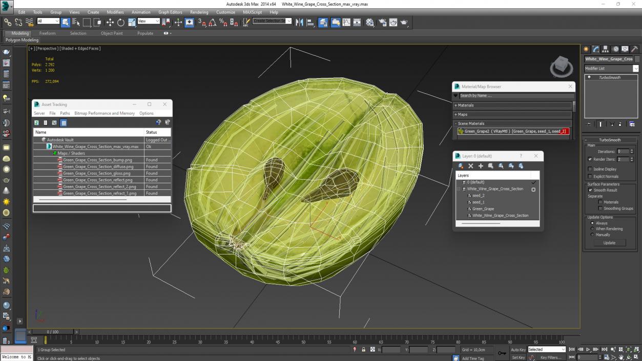 3D model White Wine Grape Cross Section