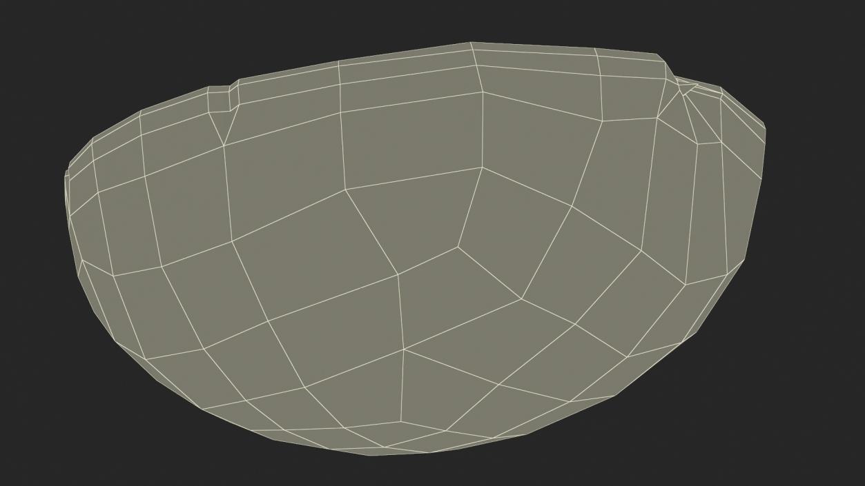 3D model White Wine Grape Cross Section