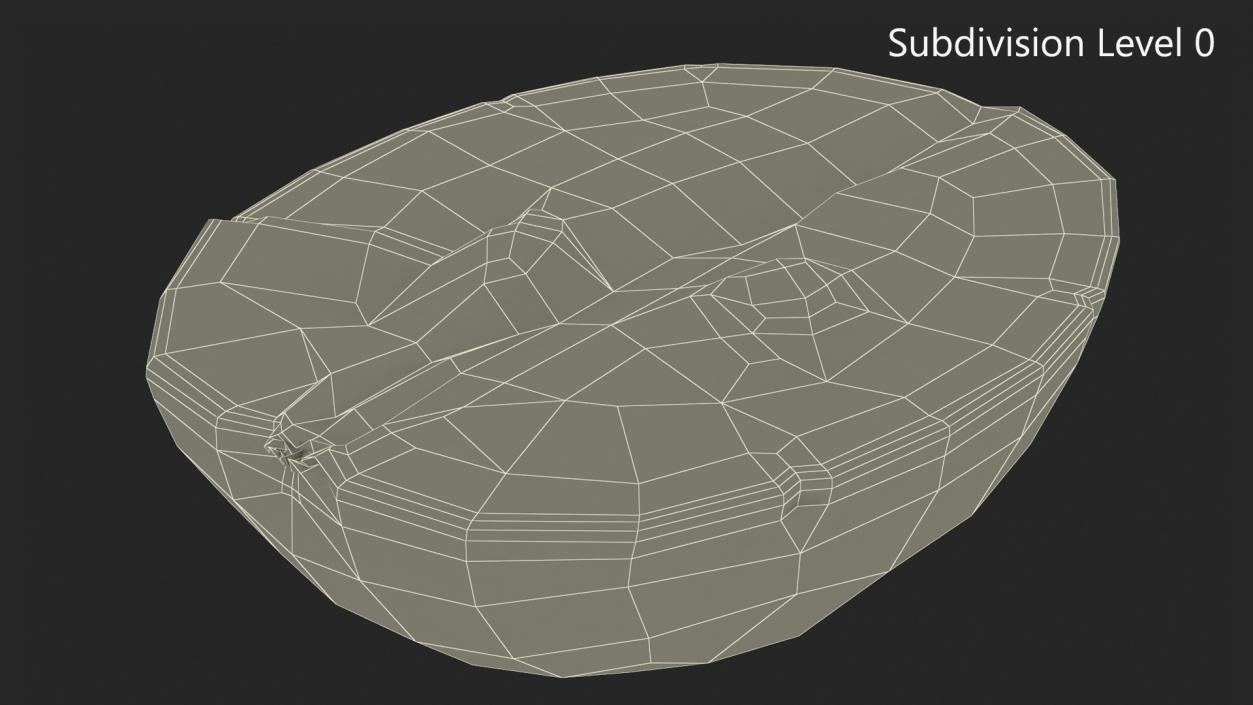 3D model White Wine Grape Cross Section