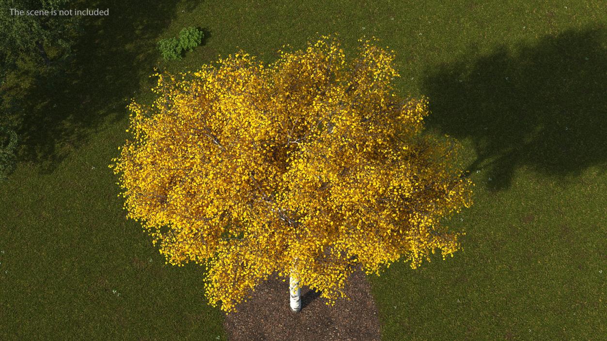 Birch Tree Yellow 3D