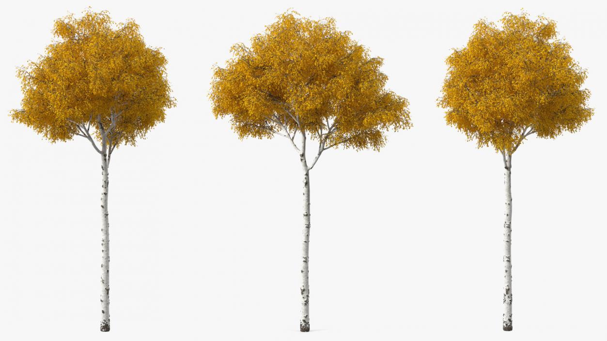 Birch Tree Yellow 3D