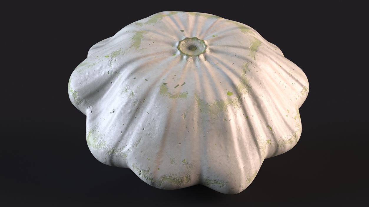 3D Bush Pumpkin White model