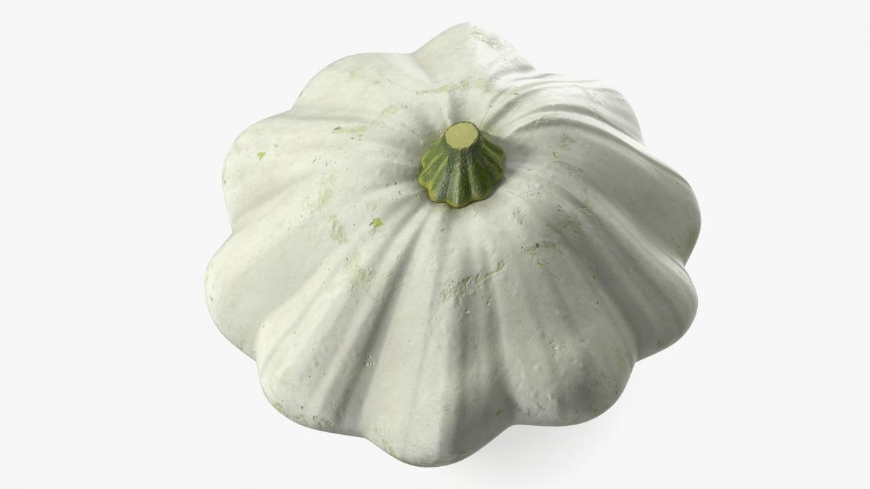 3D Bush Pumpkin White model