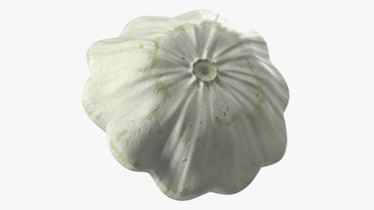 3D Bush Pumpkin White model