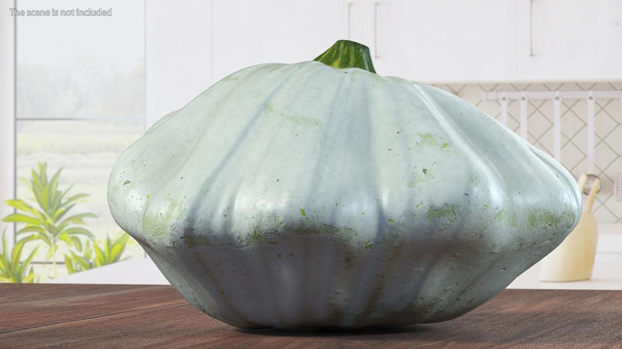 3D Bush Pumpkin White model