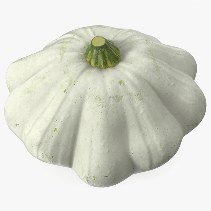 3D Bush Pumpkin White model